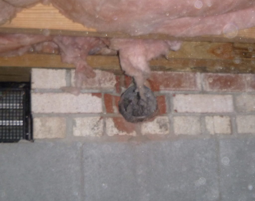 Disconnected dryer vent in crawl space